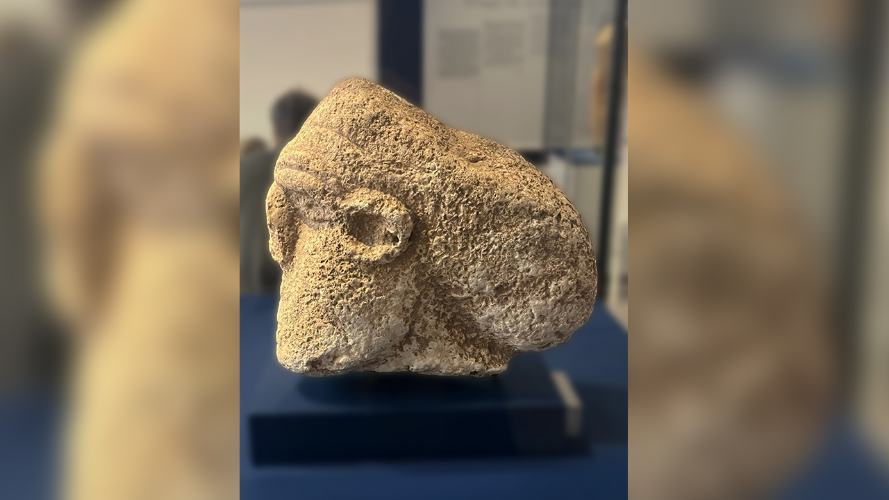 Göbeklitepe ve Taş Tepeler Uluslararası Sahnede