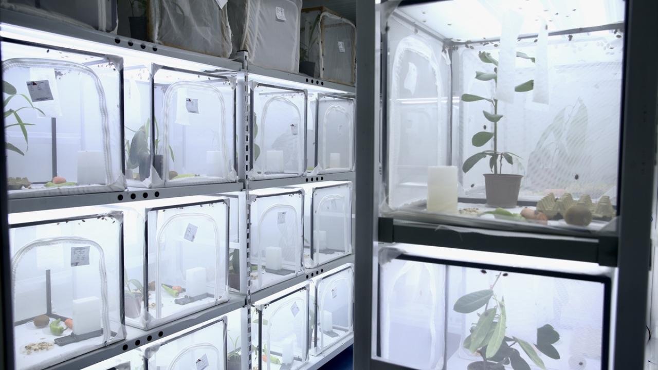 "Bırakılan yumurtaları sürekli topluyoruz"