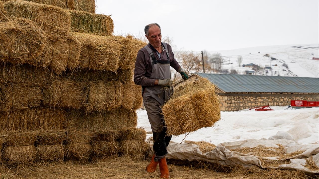 "İşlerim kolaylaştı, hayvan sayısını artırdım"