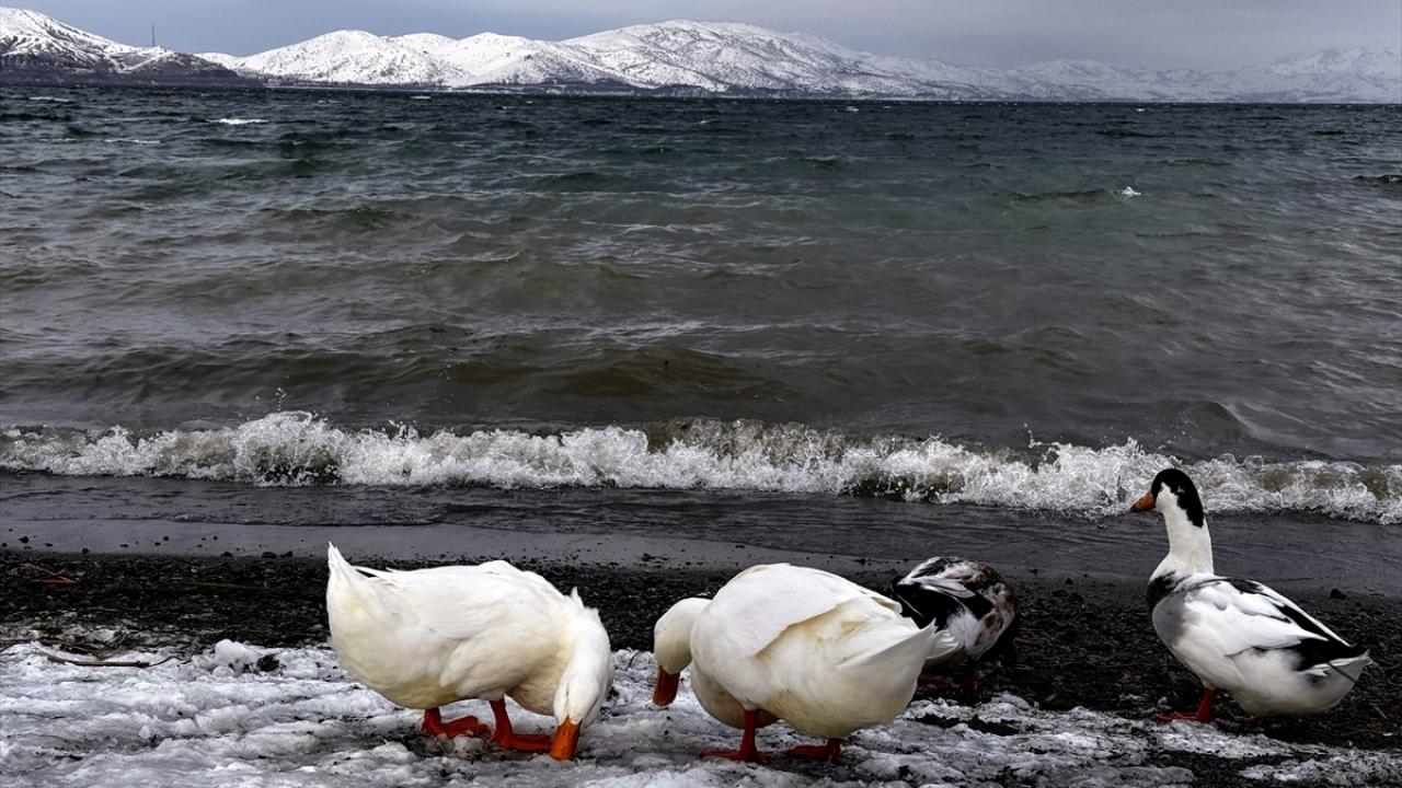 "Özellikle hafta sonu çok yoğun oluyor"