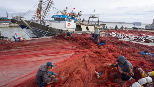 Fas’ta balıkçıların günlük mesaisi limanda sürüyor