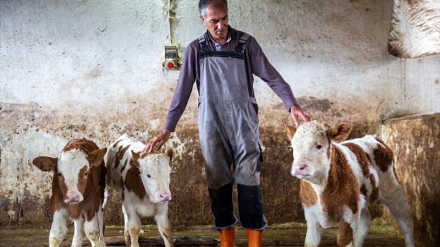 Hayvancılığı bırakacakken devlet desteğiyle eski ahırdan modern tesise adım attı