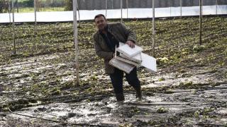 İzmir 6 günde şubat ortalamasının üzerinde yağış aldı