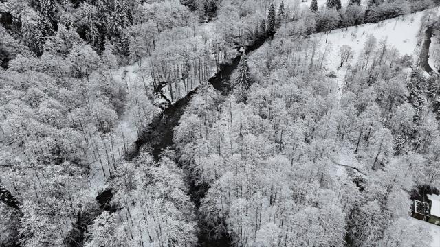 Zil Kale ve Ayder Yaylası beyaz örtüyle kaplandı