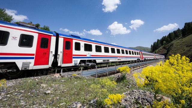 TCDD otla mücadele kapsamında tren yollarında ilaçlama yapacak