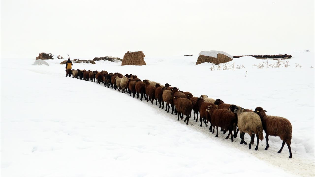 "Muhteşem bir görüntü var"