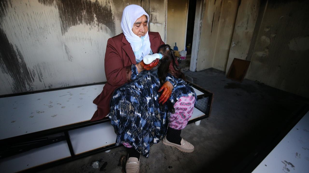 "Üşümesinler diye onları içeri aldım"