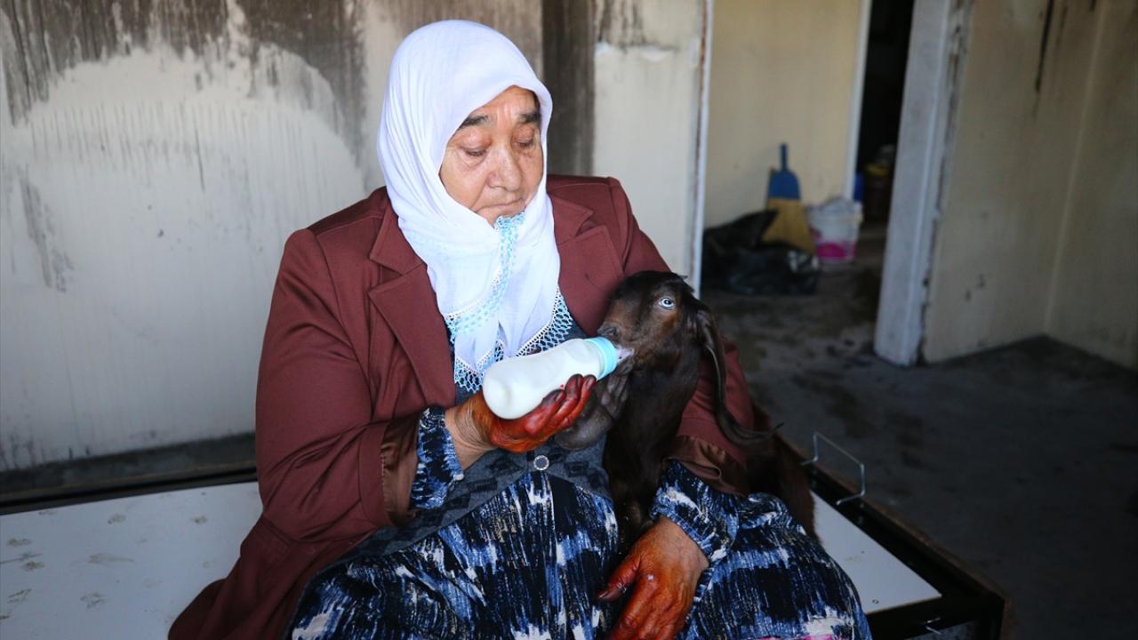 "Kuzulara çocuk gibi bakıyorum"