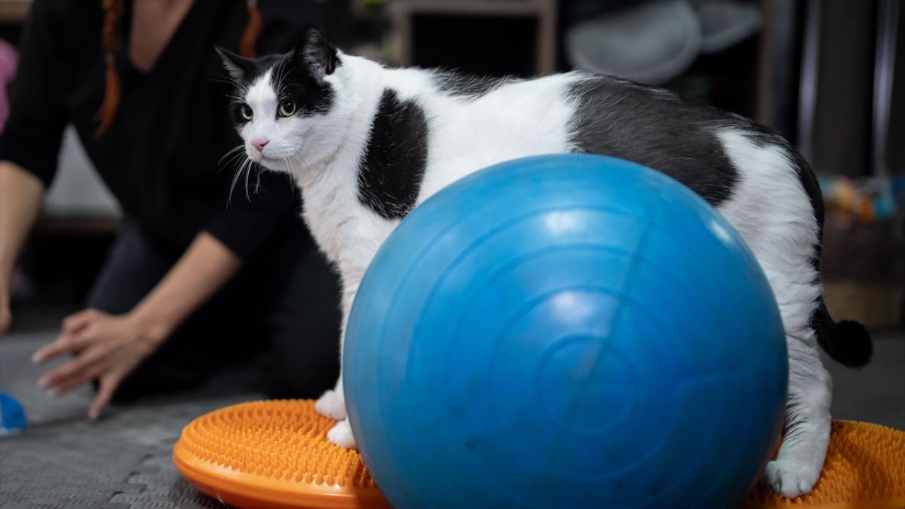 Fazla kilo sağlık problemlerini beraberinde getiriyor