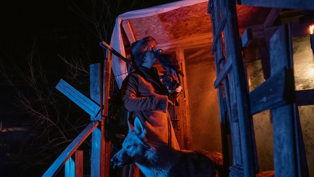 İlk yasal şahin üretimini gerçekleştirdi