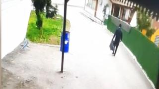 Devrilen ağacın altında kalmaktan son anda kurtuldu