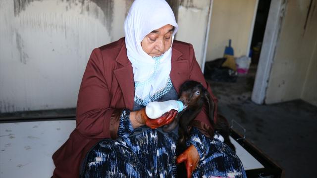Şehit annesi biberonla beslediği "yavrularının" evindeki yangından kurtarılmasıyla teselli buldu
