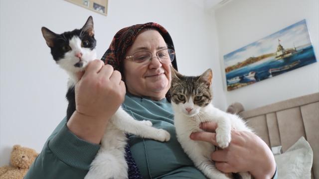 Doktor önerisiyle başlayan kedi sevgisi 40 kedilik yuvaya dönüştü