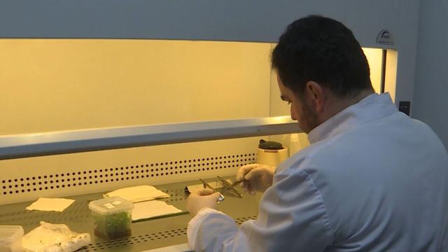 Yerli kök hücre kremi için ulusal patent alındı