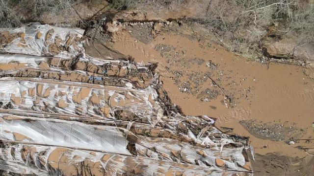 Köyceğiz'de derelerin taşması sonucu evleri su bastı, tarım alanları su altında kaldı
