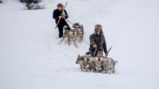 Sivas'ın bozkırında hayatını adadığı kurt köpekleri ve yırtıcı kuşlarıyla yaşıyor