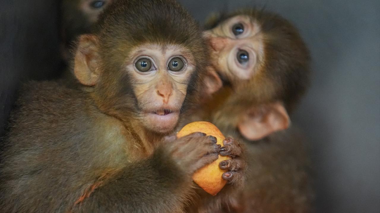 "Her gün sağlık kontrolleri yapılıyor"