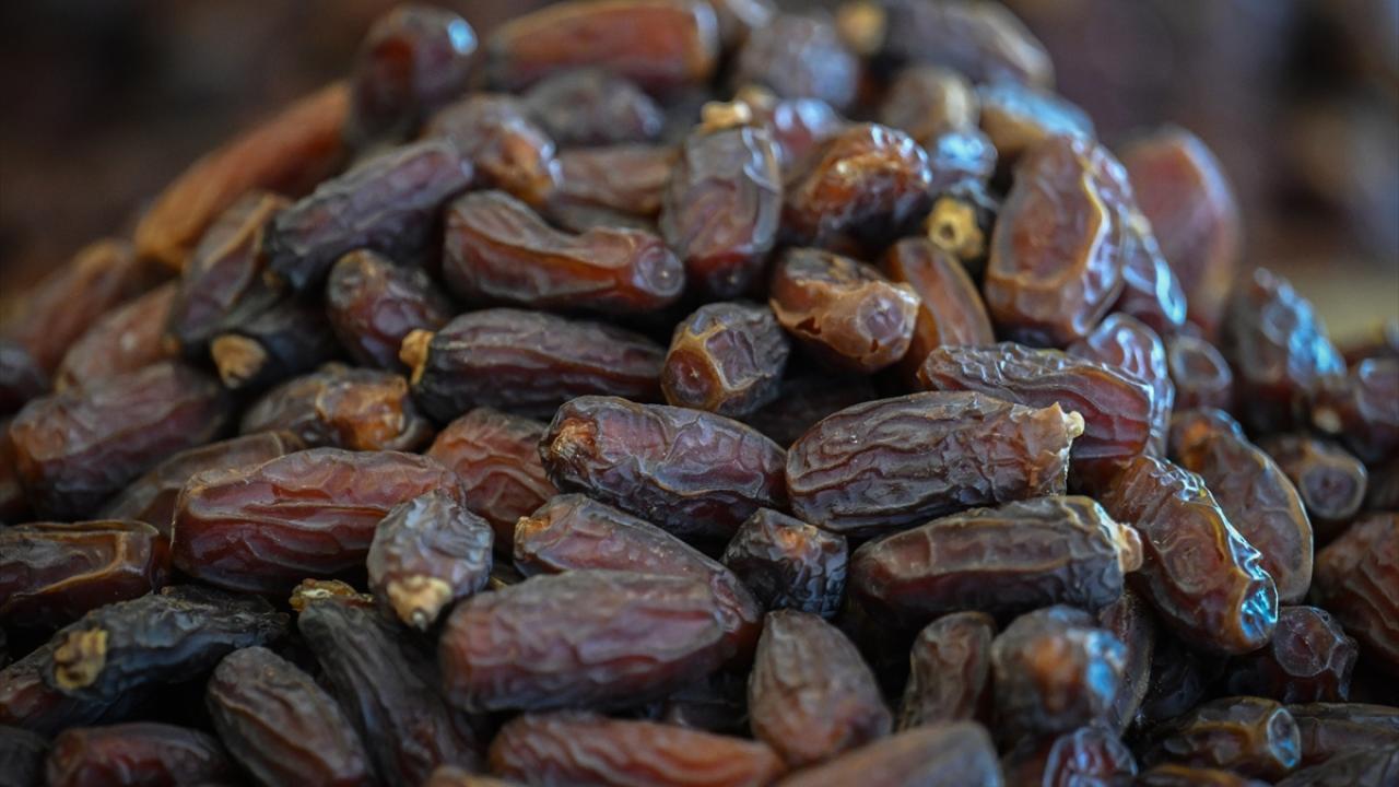 Filistin`deki hurma bahçelerinin merkezi