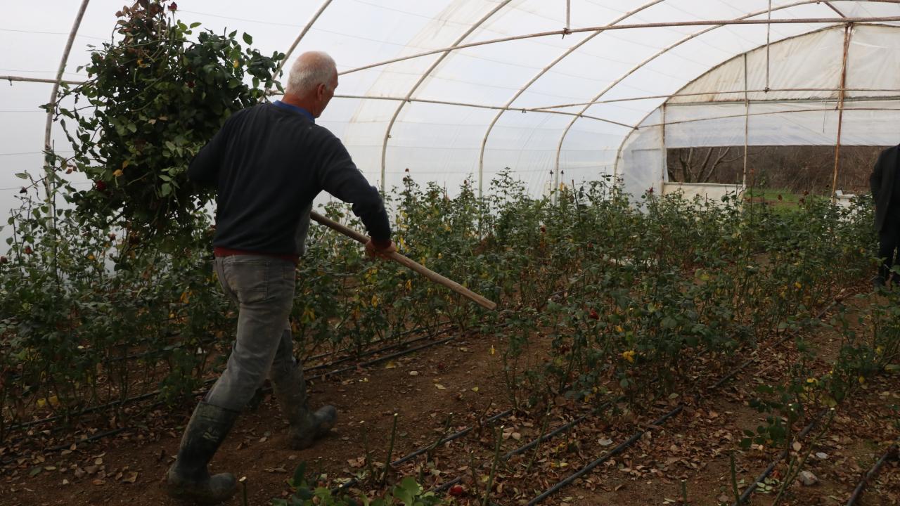 "Türkiye`ye kesme çiçekçilik, ilk köyümüzden dağıldı"
