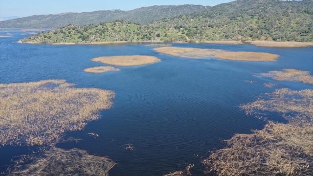 Kış yağışları Aydın'daki Azap Gölü'ne can verdi