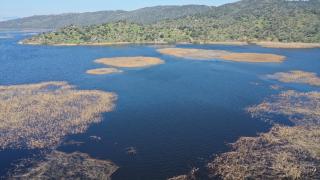 Kış yağışları Aydın'daki Azap Gölü'ne can verdi