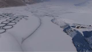 Van’da kışın sert yüzü: Barajlar buz tuttu