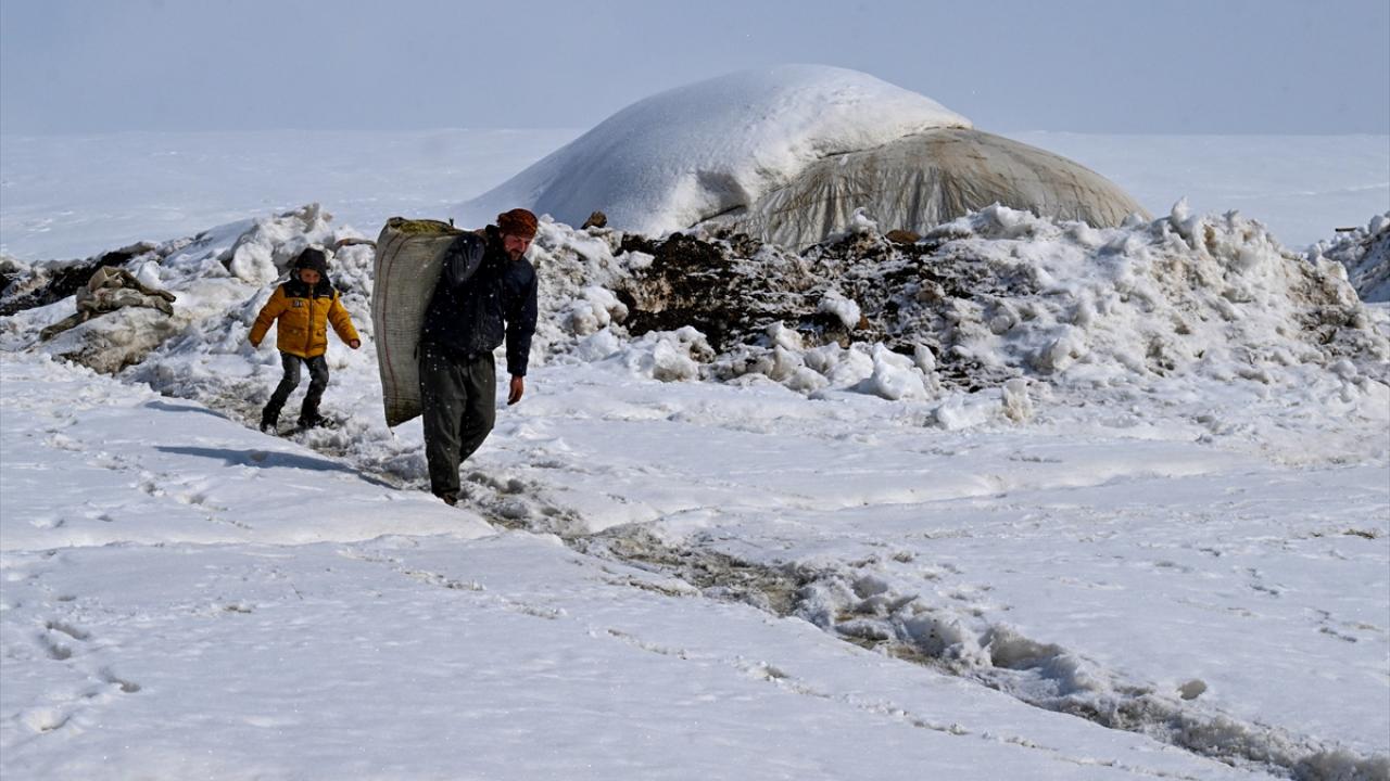 "Hayvanlar için evimi terk etmeyeceğim"