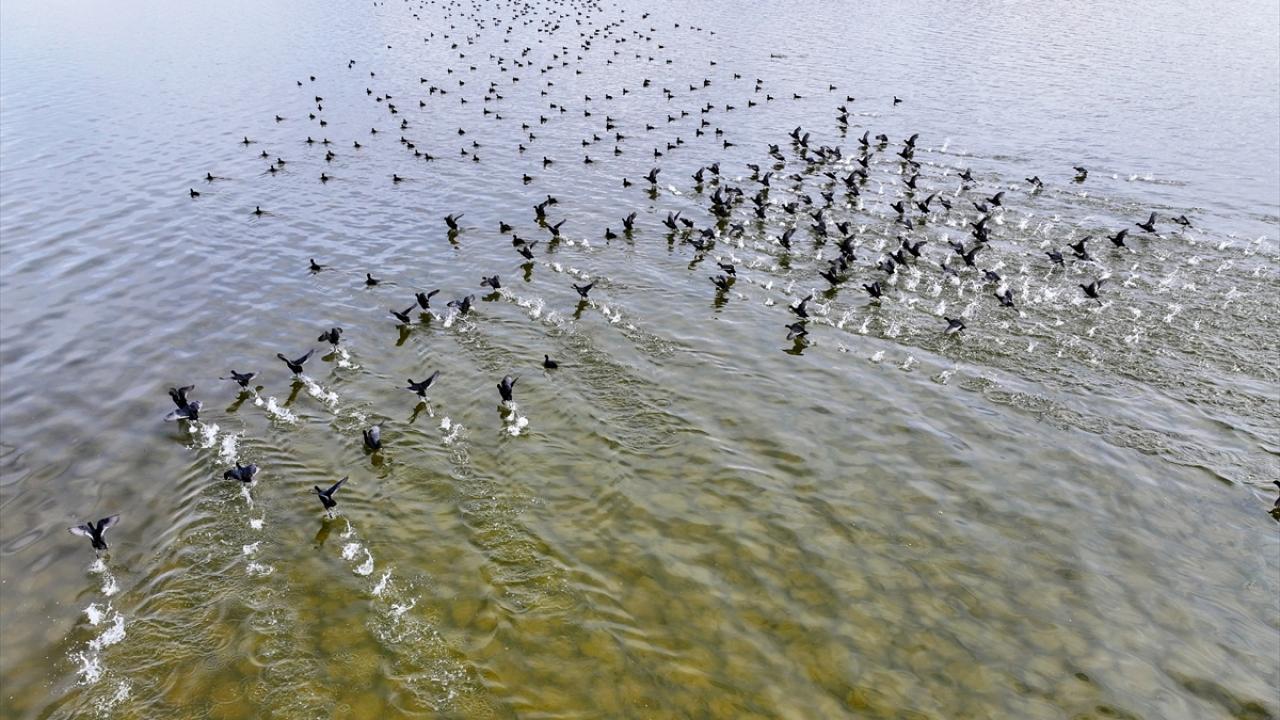 "Kuşlar için çok önemli bir lokasyon"