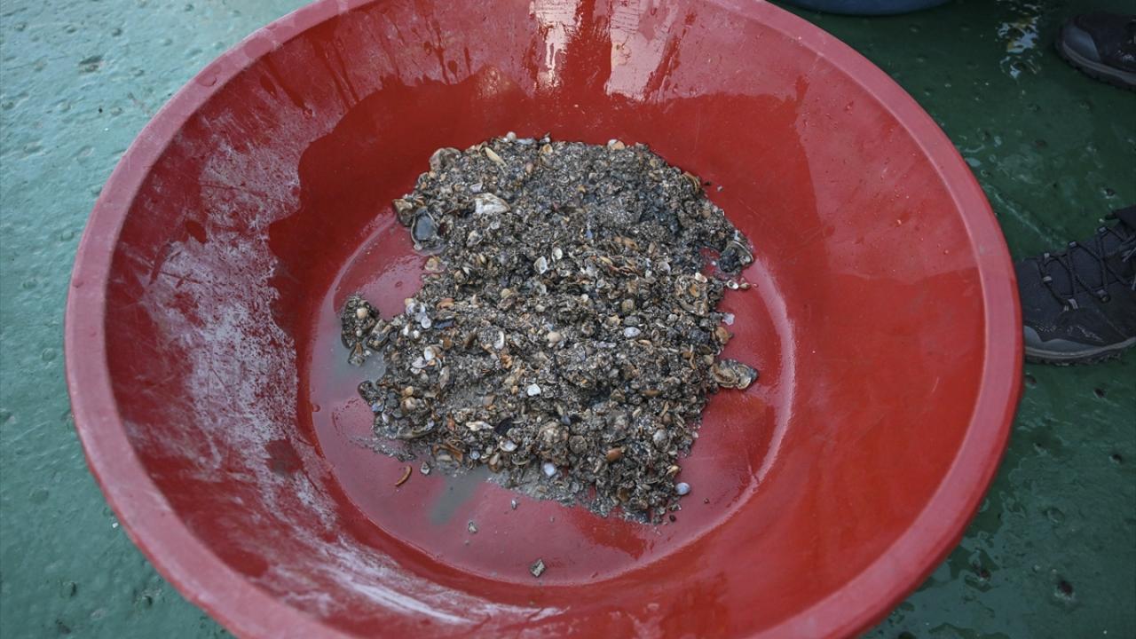 "Anomalilerin temel nedeni iklim değişikliği"