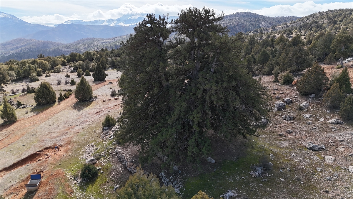 "Türkiye`nin belki de yaş açısından ilk 10`unda diyebiliriz"