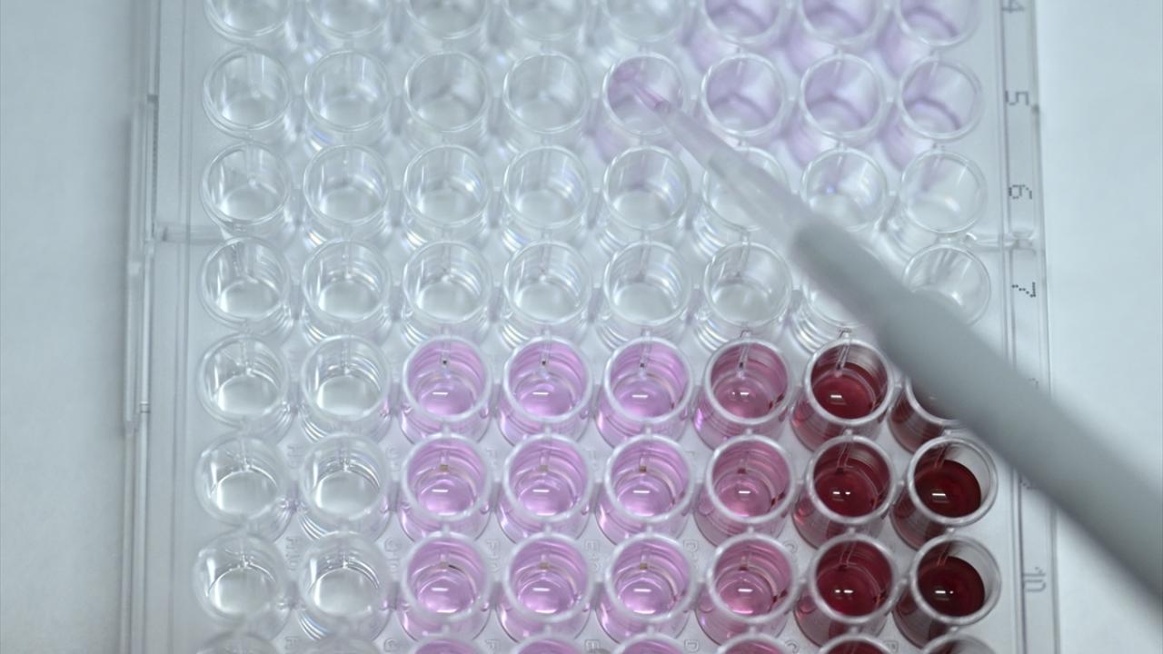 "Hem yapay zekadan hem de yeni nesil teknolojilerden yararlanmaya çalışacağız"