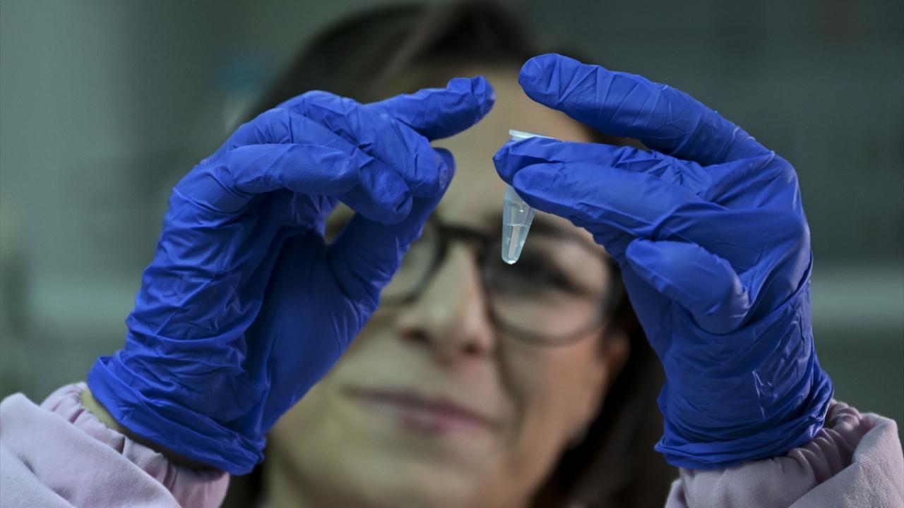 "Daha etkin ve daha güvenli tedavi sistemleri elde edilmiş olacak"