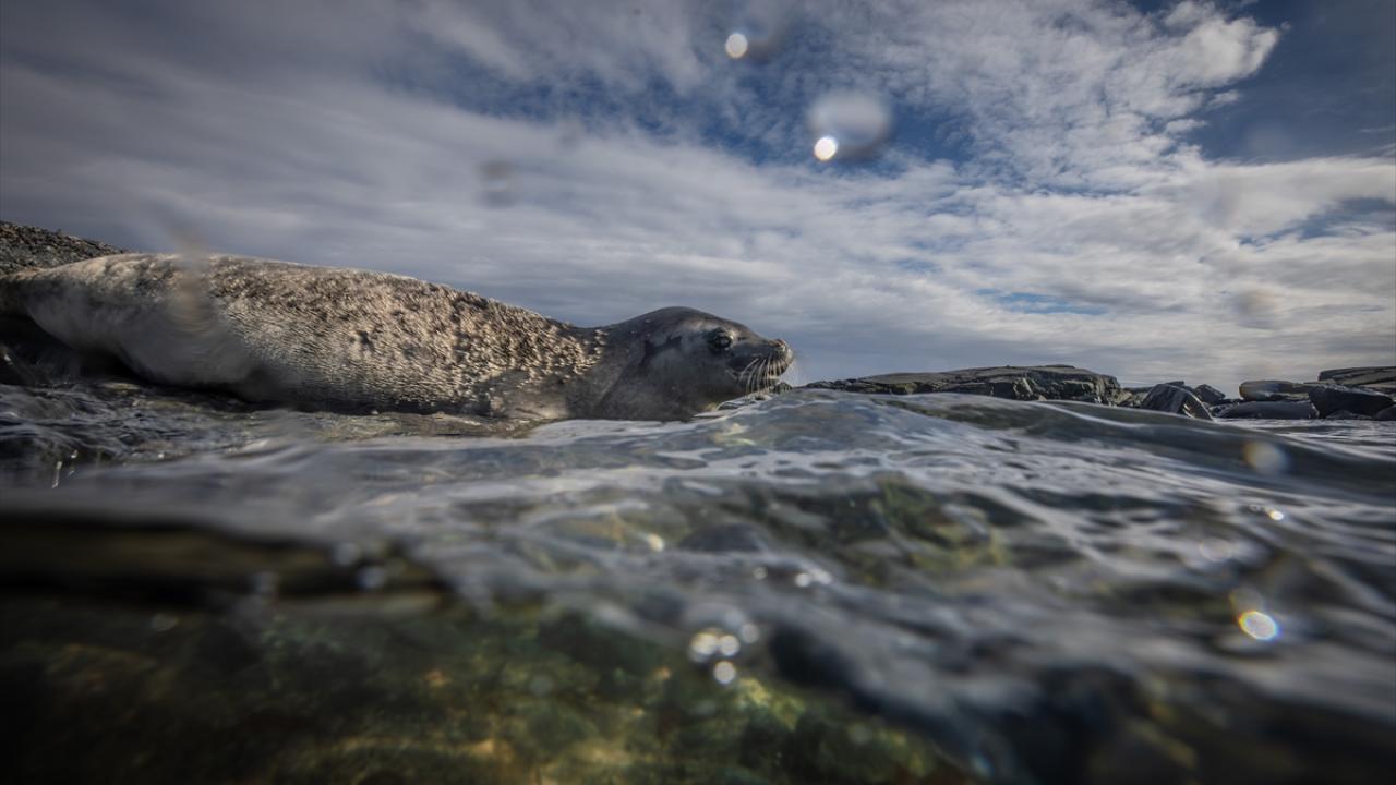 "COP 31’in Türkiye’de olması çok kıymetli​​​​​​​"