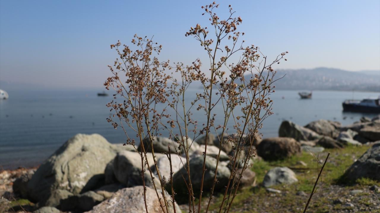 "Endemik türlere ve sağlık alanına çok büyük faydalar sağlayacağını düşünüyorum"