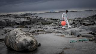 Antarktika’da doğal yaşam, plastik atıklar ve iklim baskısı altında