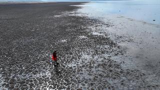 Su tutmaya başlayan Çavuşçu Gölü yeniden canlanıyor