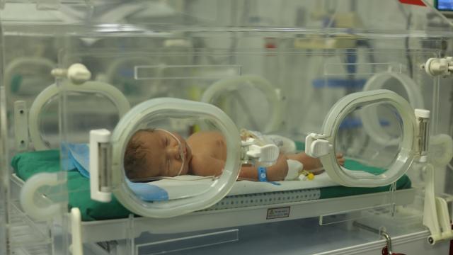 Gazze prematüre bebekler yakıt ve tıbbi malzeme yetersizliğiyle mücadele ediyor