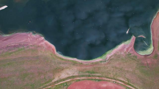 Kabaklı Göleti’nde yağışlarla su seviyesi yükseldi, kuşlar geri döndü