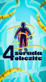 4 soruda obezite