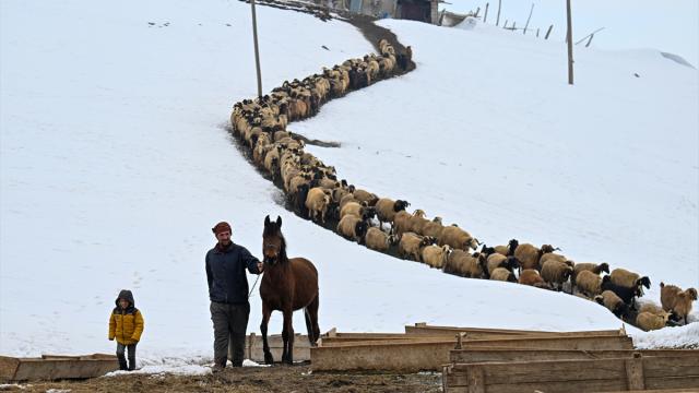 Kışın boşalan köyde 9 yıldır yalnız kalan çift, zorluklara birlikte göğüs geriyor