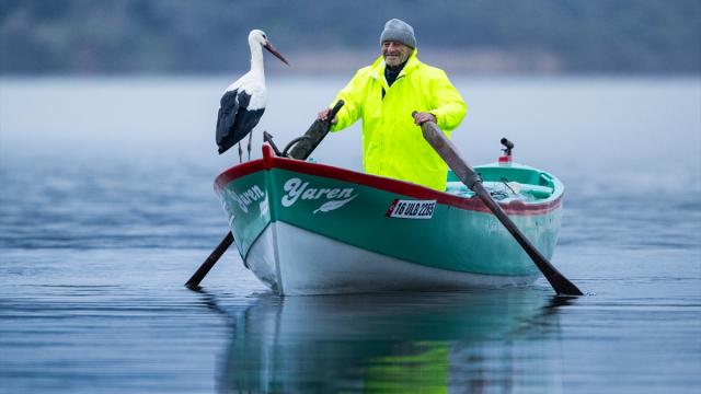 Yaren Leylek 15. yılda da göçüp geldi