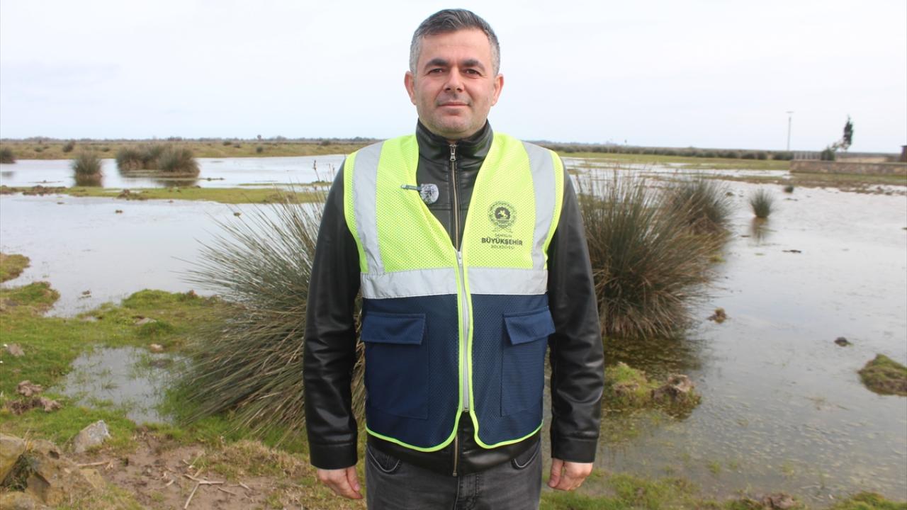 Sulak alanlarda su kuşları görülmeye başlandı