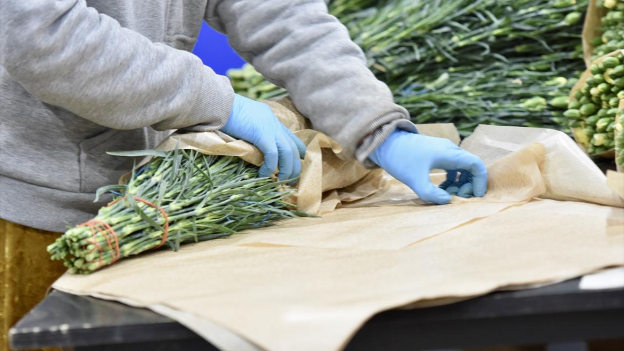 Hollanda ve İngiltere iki önemli pazar