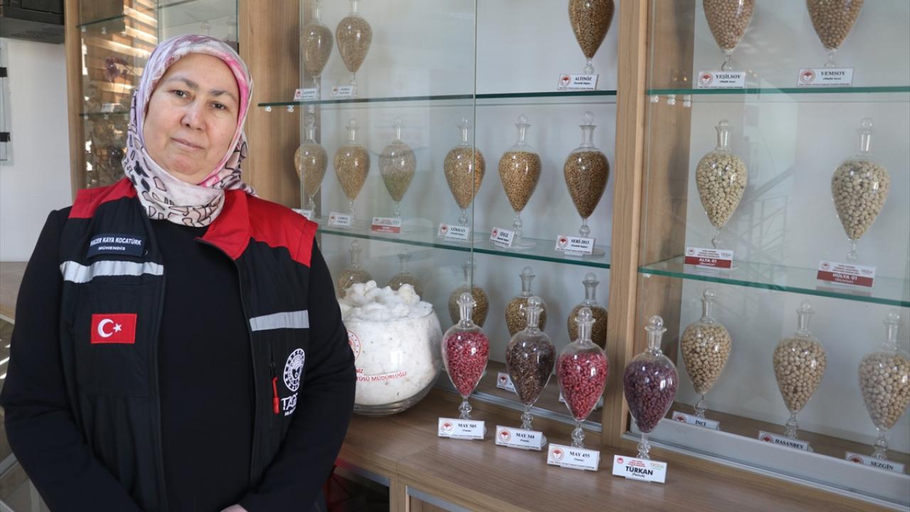 "Pamuk tohumu ihraç eden ülke konumuna gelmiş durumdayız"