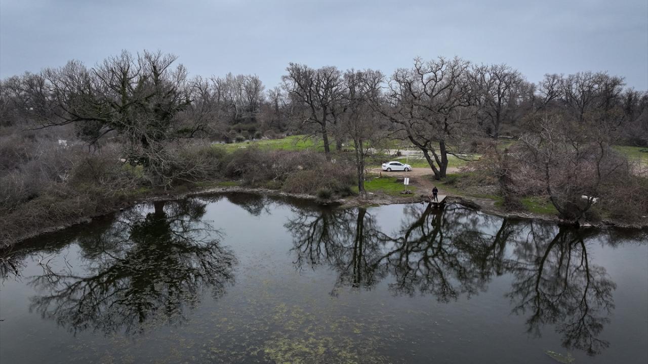 "Burada biyoçeşitlilik çok yüksek"