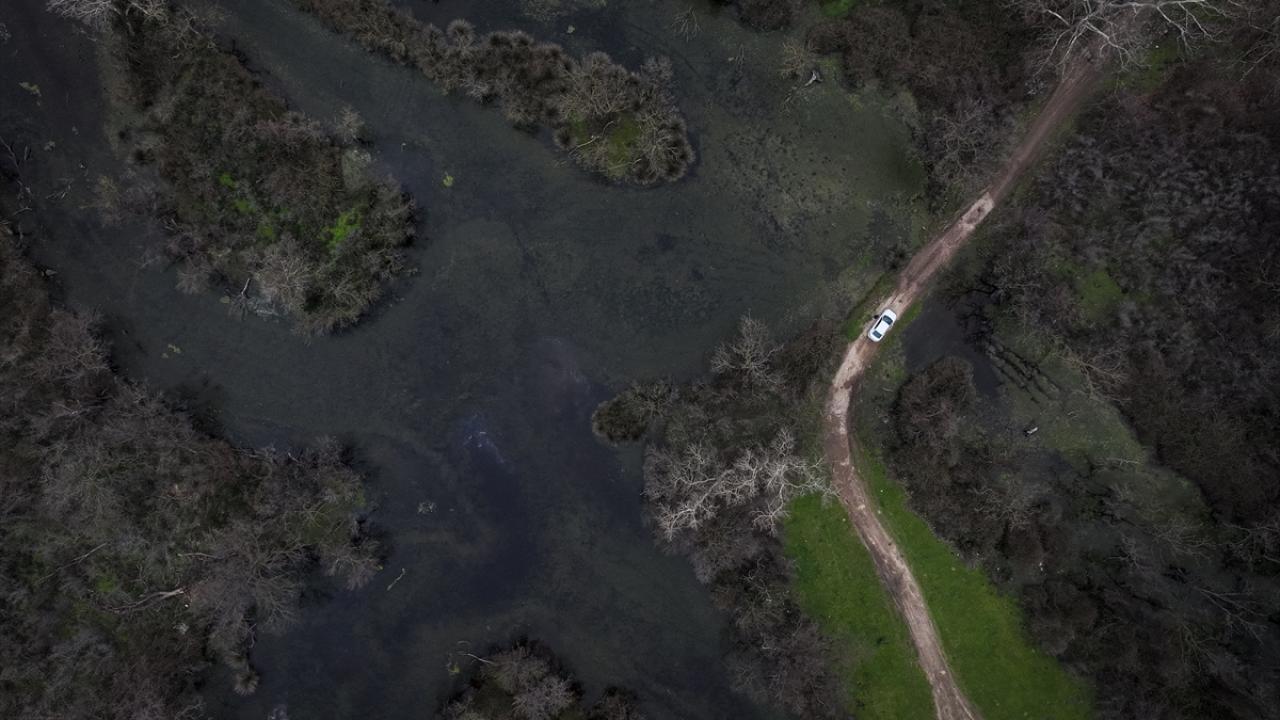 Kuş türleri için önemli bir alan