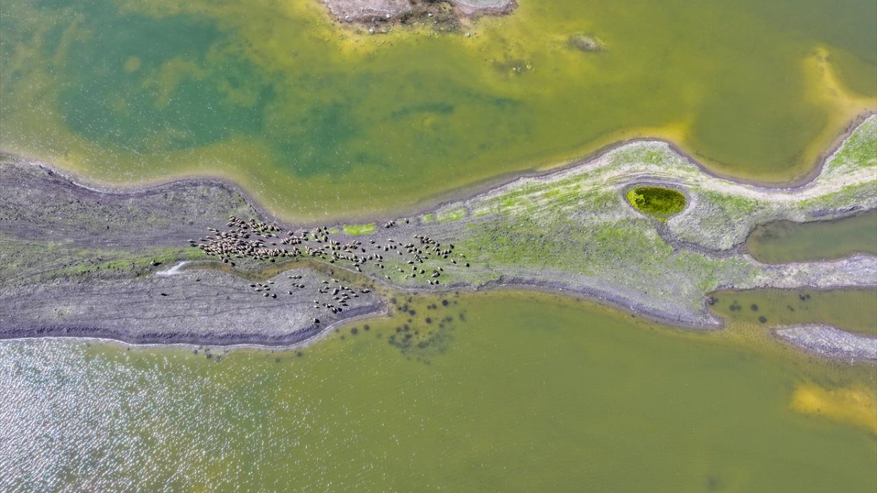 "Hayvanların suyu bol, çiftçilerin yüzü gülüyor"