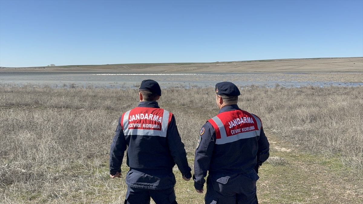 "Flamingoların bulunduğu alanlarda silah atışı yapılmasın"