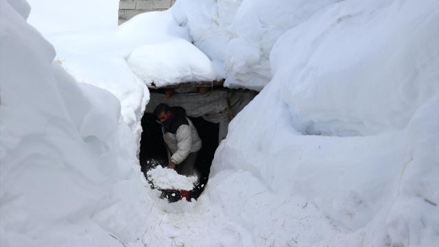 Baharda ev ve ahırların kara gömüldüğü Ağrı'nın köylerinde yaşam zorlu geçiyor