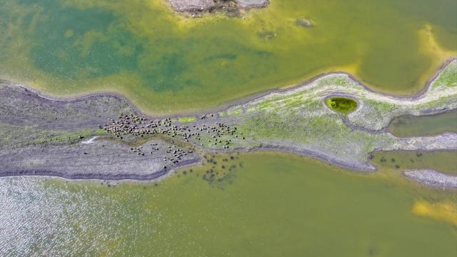Kuraklıktan etkilenen Devegeçidi Baraj Gölü mevsimsel yağışlarla doldu